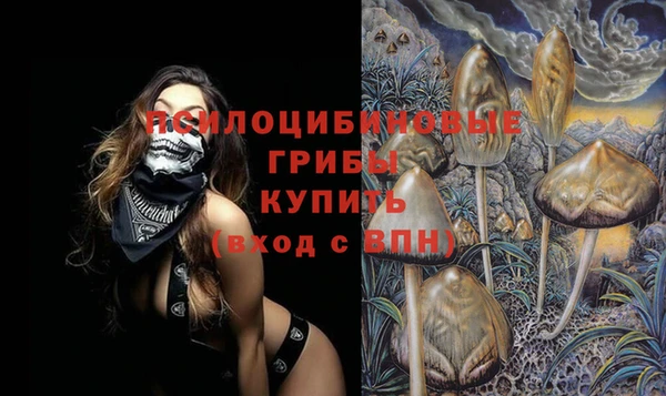 ПСИЛОЦИБИНОВЫЕ ГРИБЫ Балабаново