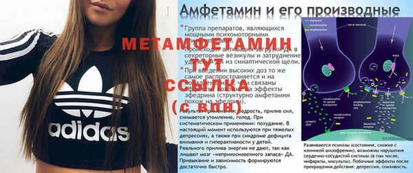 индика Осинники