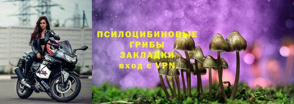 винт Балахна